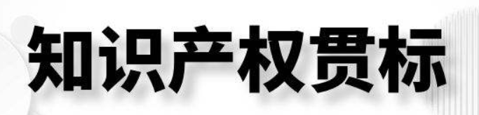 知識(shí)產(chǎn)權(quán)貫標(biāo)認(rèn)證機(jī)構(gòu) 知識(shí)產(chǎn)權(quán)貫標(biāo)各地資助政策