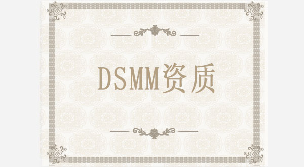 DSMM數(shù)據(jù)安全能力成熟度模型